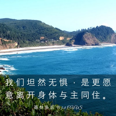 Picture 03 - 哥 林 多 后 书 5:8 CUVS - 我 们 坦 然 无 惧 ， 是 更 愿 意 离 - Bible Verse Picture
