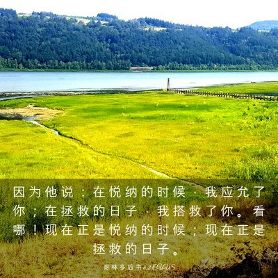 Picture 03 - 哥 林 多 后 书 6:2 CUVS - 因 为 他 说 ： 在 悦 纳 的 时 候 ， - Bible Verse Picture