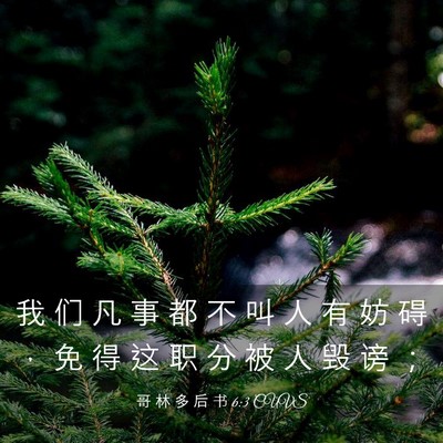 Picture 03 - 哥 林 多 后 书 6:3 CUVS - 我 们 凡 事 都 不 叫 人 有 妨 碍 ， - Bible Verse Picture