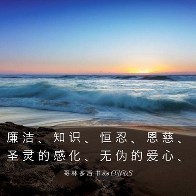 Picture 03 - 哥 林 多 后 书 6:6 CUVS - 廉 洁 、 知 识 、 恒 忍 、 恩 慈 、 - Bible Verse Picture