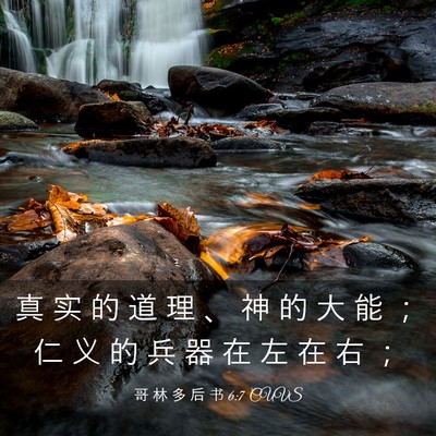 Picture 03 - 哥 林 多 后 书 6:7 CUVS - 真 实 的 道 理 、 神 的 大 能 ； 仁 - Bible Verse Picture