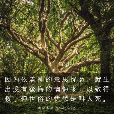 Picture 03 - 哥 林 多 后 书 7:10 CUVS - 因 为 依 着 神 的 意 思 忧 愁 ， 就 - Bible Verse Picture