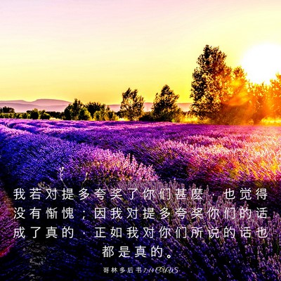 Picture 03 - 哥 林 多 后 书 7:14 CUVS - 我 若 对 提 多 夸 奖 了 你 们 甚 麽 - Bible Verse Picture