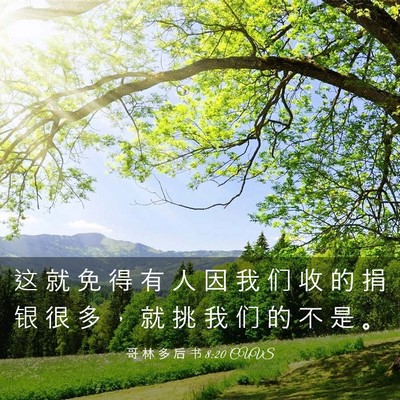 Picture 03 - 哥 林 多 后 书 8:20 CUVS - 这 就 免 得 有 人 因 我 们 收 的 捐 - Bible Verse Picture