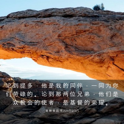 Picture 03 - 哥 林 多 后 书 8:23 CUVS - 论 到 提 多 ， 他 是 我 的 同 伴 ， - Bible Verse Picture