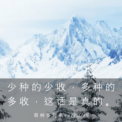 Picture 03 - 哥 林 多 后 书 9:6 CUVS - 少 种 的 少 收 ， 多 种 的 多 收 ， - Bible Verse Picture
