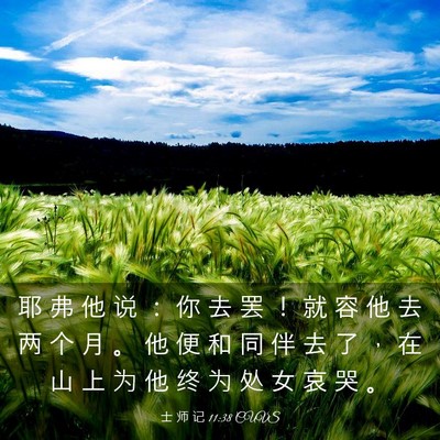 Picture 03 - 士 师 记 11:38 CUVS - 耶 弗 他 说 ： 你 去 罢 ！ 就 容 他 - Bible Verse Picture
