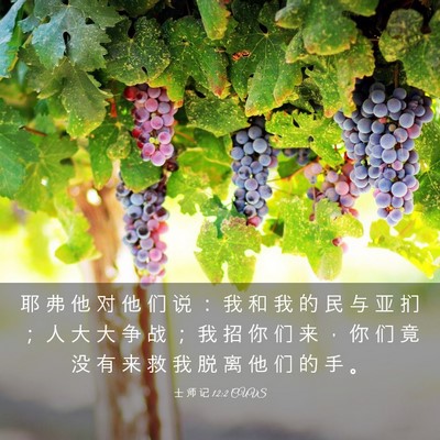 Picture 03 - 士 师 记 12:2 CUVS - 耶 弗 他 对 他 们 说 ： 我 和 我 的 - Bible Verse Picture