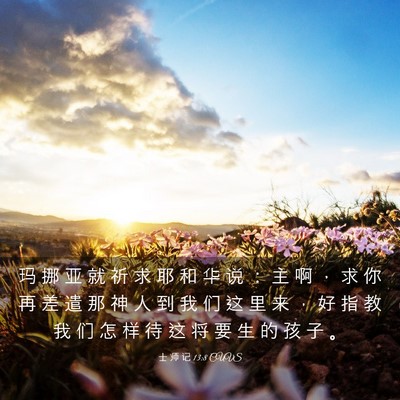 Picture 03 - 士 师 记 13:8 CUVS - 玛 挪 亚 就 祈 求 耶 和 华 说 ： 主 - Bible Verse Picture