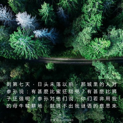 Picture 03 - 士 师 记 14:18 CUVS - 到 第 七 天 ， 日 头 未 落 以 前 ， - Bible Verse Picture