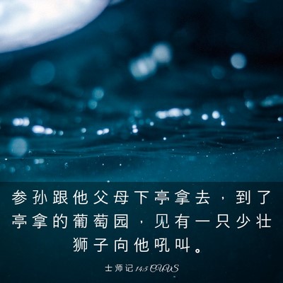 Picture 03 - 士 师 记 14:5 CUVS - 参 孙 跟 他 父 母 下 亭 拿 去 ， 到 - Bible Verse Picture