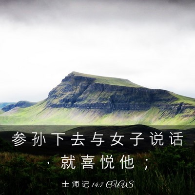 Picture 03 - 士 师 记 14:7 CUVS - 参 孙 下 去 与 女 子 说 话 ， 就 喜 - Bible Verse Picture