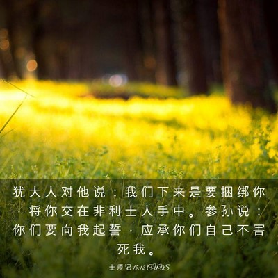 Picture 03 - 士 师 记 15:12 CUVS - 犹 大 人 对 他 说 ： 我 们 下 来 是 - Bible Verse Picture