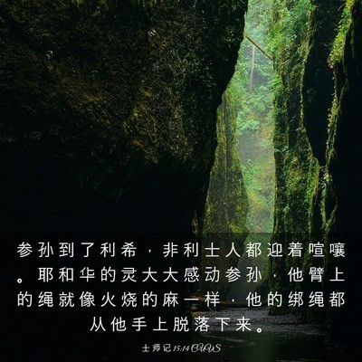 Picture 03 - 士 师 记 15:14 CUVS - 参 孙 到 了 利 希 ， 非 利 士 人 都 - Bible Verse Picture