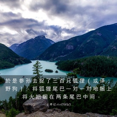 Picture 03 - 士 师 记 15:4 CUVS - 於 是 参 孙 去 捉 了 三 百 只 狐 狸 - Bible Verse Picture