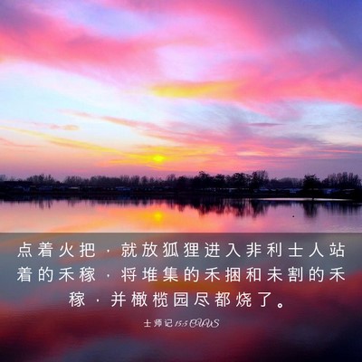 Picture 03 - 士 师 记 15:5 CUVS - 点 着 火 把 ， 就 放 狐 狸 进 入 非 - Bible Verse Picture