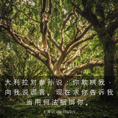 Picture 03 - 士 师 记 16:10 CUVS - 大 利 拉 对 参 孙 说 ： 你 欺 哄 我 - Bible Verse Picture