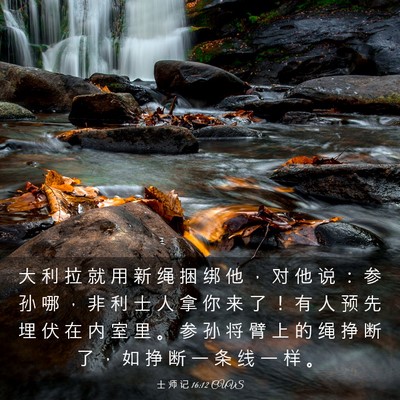 Picture 03 - 士 师 记 16:12 CUVS - 大 利 拉 就 用 新 绳 捆 绑 他 ， 对 - Bible Verse Picture