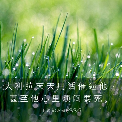 Picture 03 - 士 师 记 16:16 CUVS - 大 利 拉 天 天 用 话 催 逼 他 ， 甚 - Bible Verse Picture
