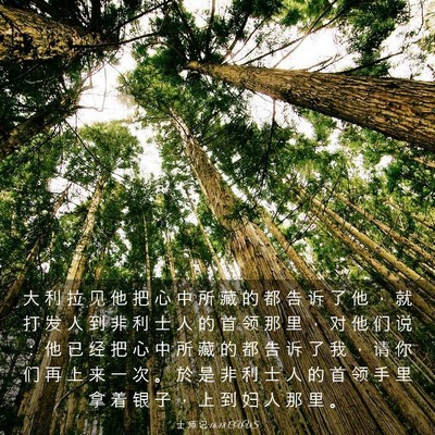 Picture 03 - 士 师 记 16:18 CUVS - 大 利 拉 见 他 把 心 中 所 藏 的 都 - Bible Verse Picture