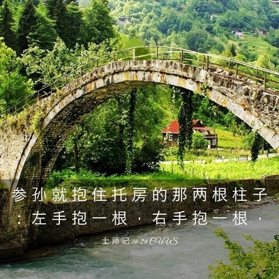 Picture 03 - 士 师 记 16:29 CUVS - 参 孙 就 抱 住 托 房 的 那 两 根 柱 - Bible Verse Picture