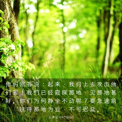Picture 03 - 士 师 记 18:9 CUVS - 他 们 回 答 说 ： 起 来 ， 我 们 上 - Bible Verse Picture