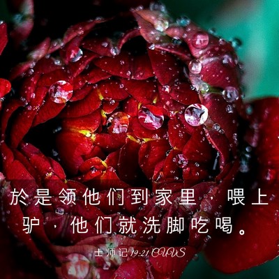 Picture 03 - 士 师 记 19:21 CUVS - 於 是 领 他 们 到 家 里 ， 喂 上 驴 - Bible Verse Picture