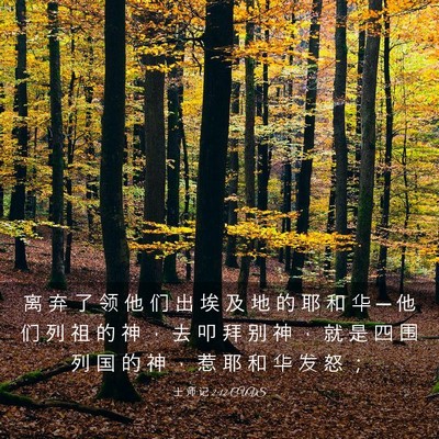 Picture 03 - 士 师 记 2:12 CUVS - 离 弃 了 领 他 们 出 埃 及 地 的 耶 - Bible Verse Picture