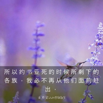 Picture 03 - 士 师 记 2:21 CUVS - 所 以 约 书 亚 死 的 时 候 所 剩 下 - Bible Verse Picture