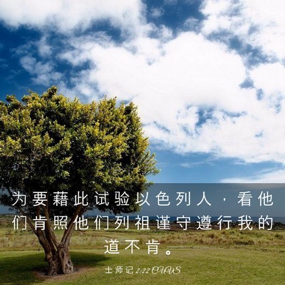 Picture 03 - 士 师 记 2:22 CUVS - 为 要 藉 此 试 验 以 色 列 人 ， 看 - Bible Verse Picture