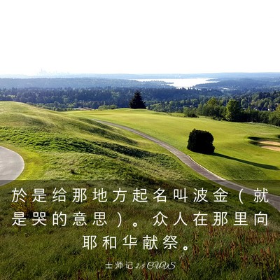 Picture 03 - 士 师 记 2:5 CUVS - 於 是 给 那 地 方 起 名 叫 波 金 （ - Bible Verse Picture