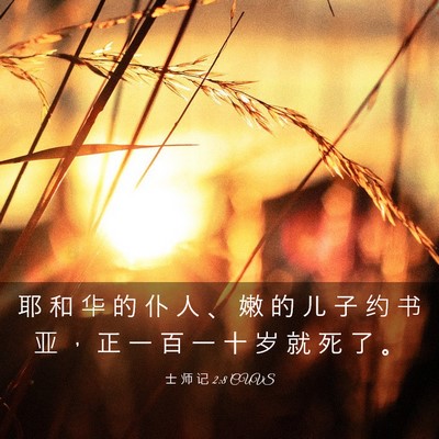 Picture 03 - 士 师 记 2:8 CUVS - 耶 和 华 的 仆 人 、 嫩 的 儿 子 约 - Bible Verse Picture