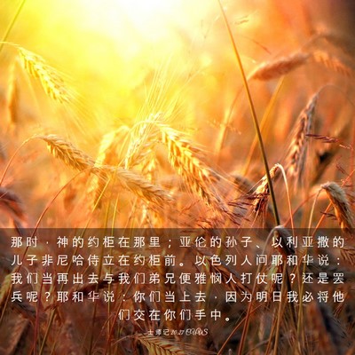 Picture 03 - 士 师 记 20:27 CUVS - 那 时 ， 神 的 约 柜 在 那 里 ； 亚 - Bible Verse Picture