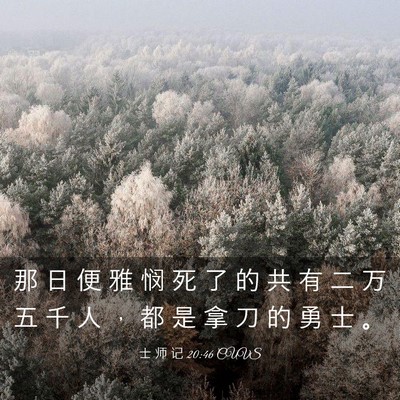 Picture 03 - 士 师 记 20:46 CUVS - 那 日 便 雅 悯 死 了 的 共 有 二 万 - Bible Verse Picture
