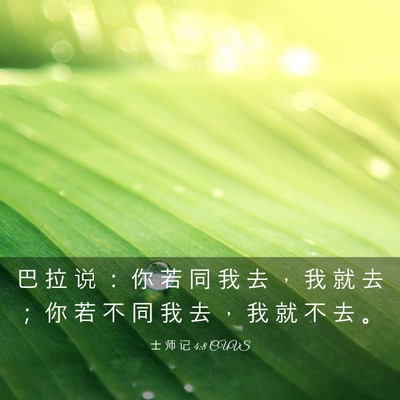 Picture 03 - 士 师 记 4:8 CUVS - 巴 拉 说 ： 你 若 同 我 去 ， 我 就 - Bible Verse Picture