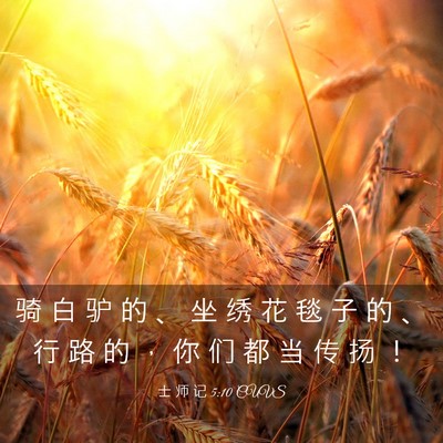 Picture 03 - 士 师 记 5:10 CUVS - 骑 白 驴 的 、 坐 绣 花 毯 子 的 、 - Bible Verse Picture