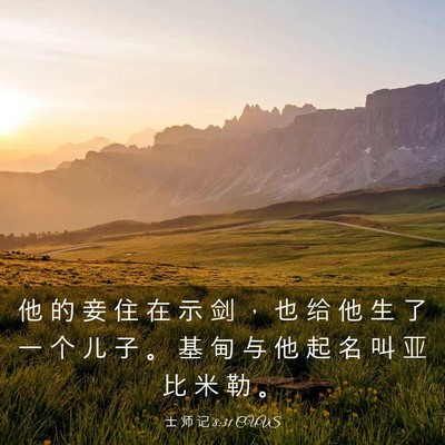 Picture 03 - 士 师 记 8:31 CUVS - 他 的 妾 住 在 示 剑 ， 也 给 他 生 - Bible Verse Picture