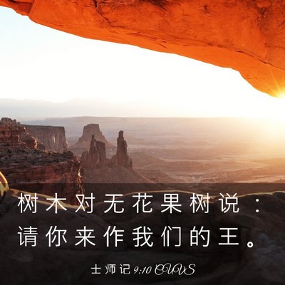 Picture 03 - 士 师 记 9:10 CUVS - 树 木 对 无 花 果 树 说 ： 请 你 来 - Bible Verse Picture