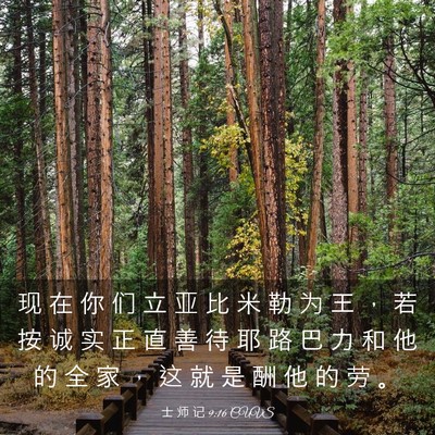 Picture 03 - 士 师 记 9:16 CUVS - 现 在 你 们 立 亚 比 米 勒 为 王 ， - Bible Verse Picture