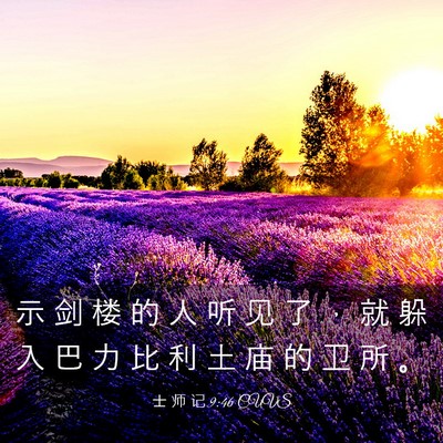 Picture 03 - 士 师 记 9:46 CUVS - 示 剑 楼 的 人 听 见 了 ， 就 躲 入 - Bible Verse Picture