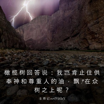 Picture 03 - 士 师 记 9:9 CUVS - 橄 榄 树 回 答 说 ： 我 岂 肯 止 住 - Bible Verse Picture