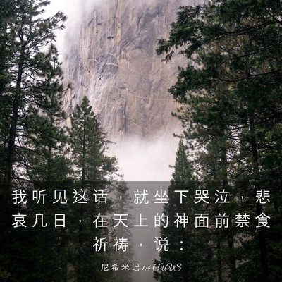 Picture 03 - 尼 希 米 记 1:4 CUVS - 我 听 见 这 话 ， 就 坐 下 哭 泣 ， - Bible Verse Picture