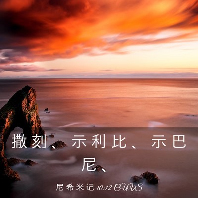 Picture 03 - 尼 希 米 记 10:12 CUVS - 撒 刻 、 示 利 比 、 示 巴 尼 - Bible Verse Picture