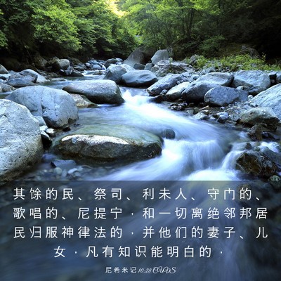 Picture 03 - 尼 希 米 记 10:28 CUVS - 其 馀 的 民 、 祭 司 、 利 未 人 、 - Bible Verse Picture