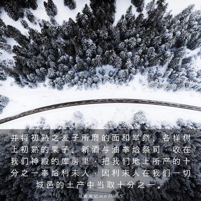 Picture 03 - 尼 希 米 记 10:37 CUVS - 并 将 初 熟 之 麦 子 所 磨 的 面 和 - Bible Verse Picture