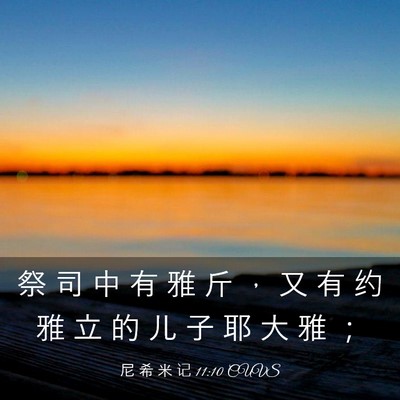 Picture 03 - 尼 希 米 记 11:10 CUVS - 祭 司 中 有 雅 斤 ， 又 有 约 雅 立 - Bible Verse Picture