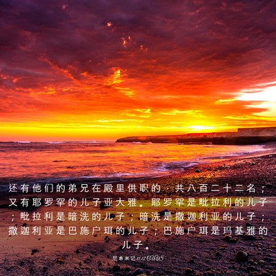 Picture 03 - 尼 希 米 记 11:12 CUVS - 还 有 他 们 的 弟 兄 在 殿 里 供 职 - Bible Verse Picture