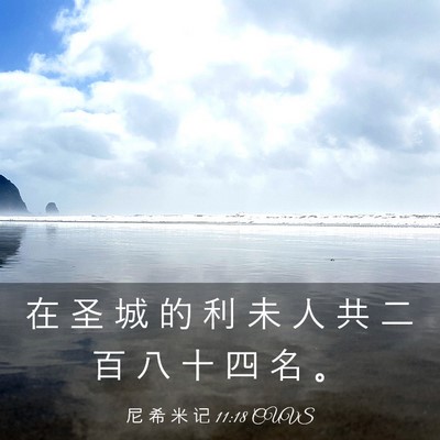 Picture 03 - 尼 希 米 记 11:18 CUVS - 在 圣 城 的 利 未 人 共 二 百 八 十 - Bible Verse Picture
