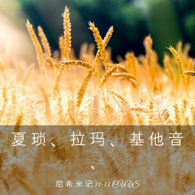 Picture 03 - 尼 希 米 记 11:33 CUVS - 夏 琐 、 拉 玛 、 基 他 音 - Bible Verse Picture