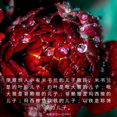 Picture 03 - 尼 希 米 记 11:7 CUVS - 便 雅 悯 人 中 有 米 书 兰 的 儿 子 - Bible Verse Picture